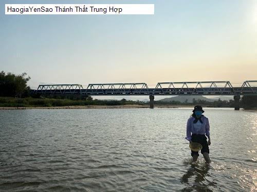 thanh that trung hop