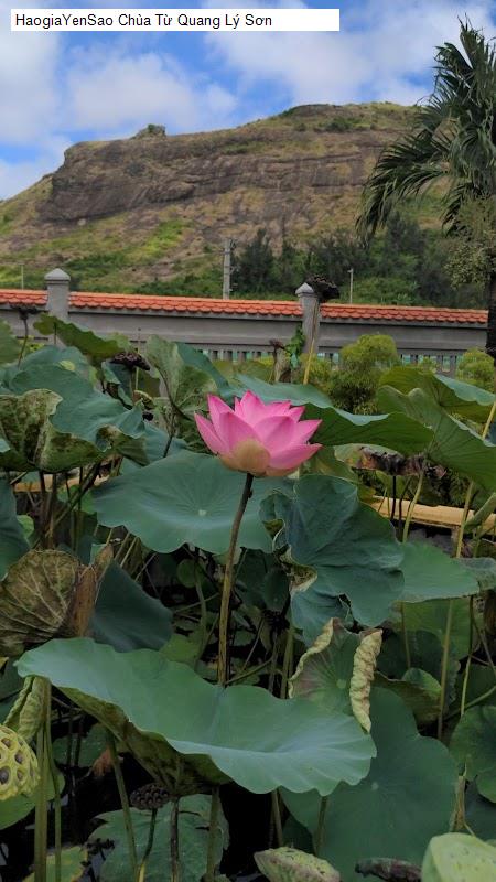 chua tu quang ly son