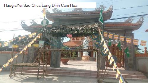 chua long dinh cam hoa