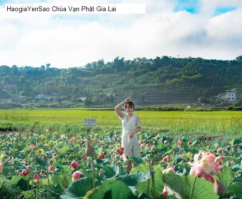 chua van phat gia lai