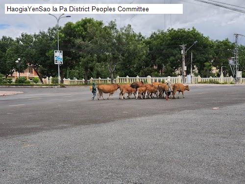 ia pa district peoples committee