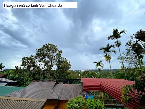 Top 6 Chùa và địa chỉ tâm linh nổi tiếng tại tại Phường Ea Kao, Đắk Lắk (2026)