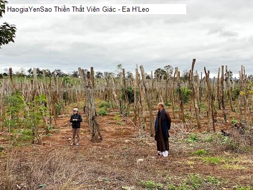 thien that vien giac - ea h’leo