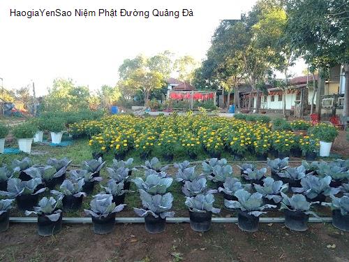 niem phat duong quang da