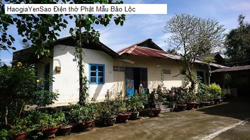 dien tho phat mau bao loc