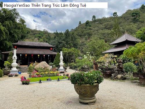 thien trang truc lam dong tue