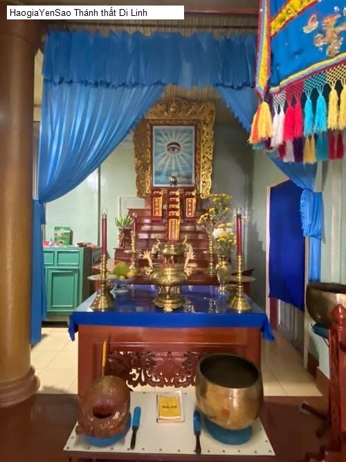 thanh that di linh
