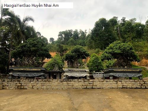 huyen nhai am