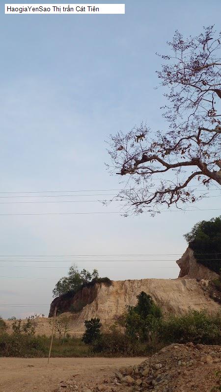 thi tran cat tien