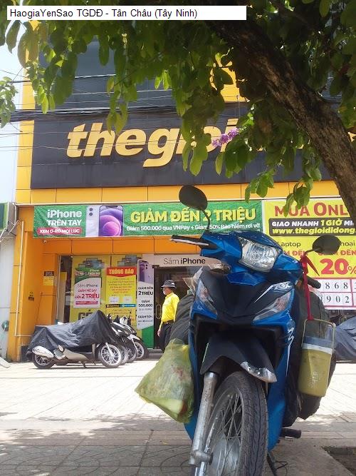 tgdd - tan chau (tay ninh)