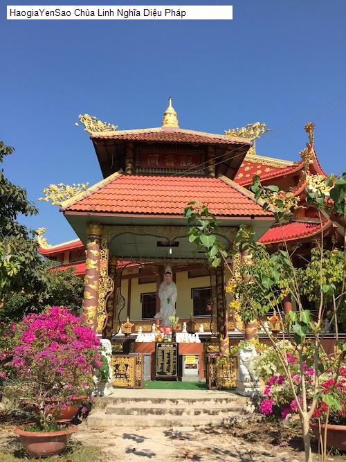 chua linh nghia dieu phap