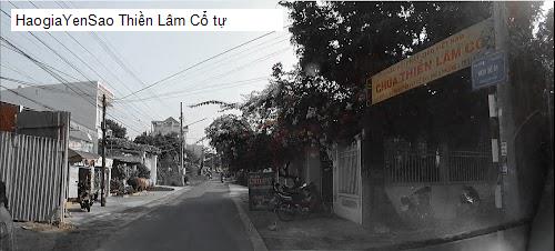 thien lam co tu