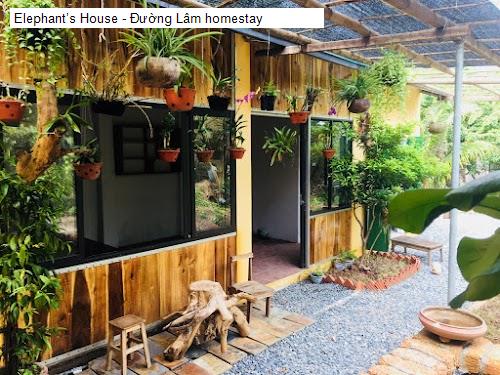 elephant’s house - duong lam homestay