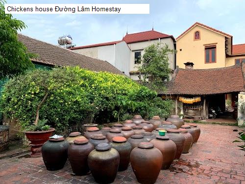 chickens house duong lam homestay