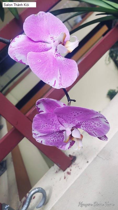 Top 13 Tiệm Làm Tóc Được Đánh Giá Cao Ở Tiệm làm đẹp Tóc tại Phường Từ Sơn, Bắc Ninh (2026)