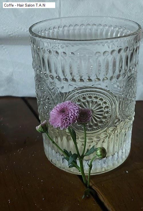 coffe - hair salon t.a.n