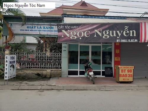 ngoc nguyen toc nam
