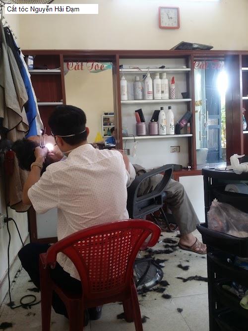 cat toc nguyen hai dam