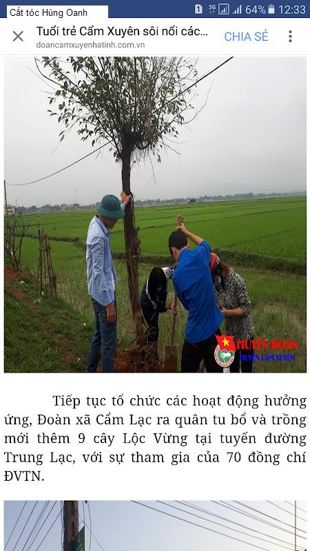 cat toc hung oanh