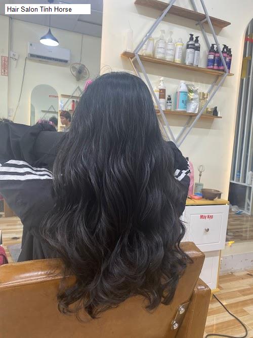 hair salon tinh horse
