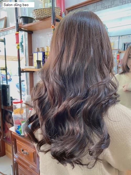 salon dung beo