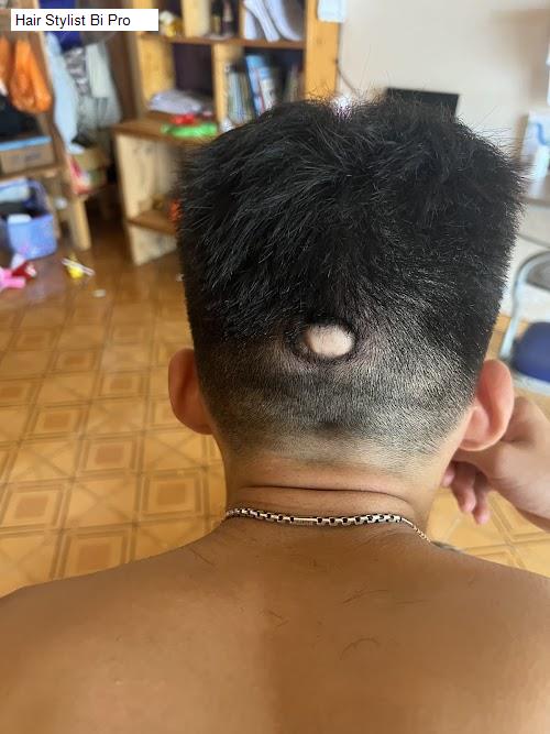 hair stylist bi pro