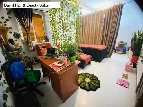 david hair & beauty salon