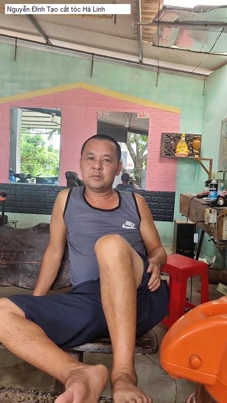 nguyen dinh tao cat toc ha linh