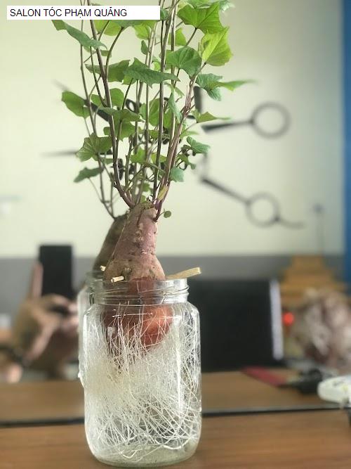 salon toc pham quang