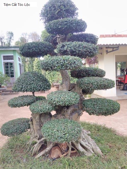 Top 2 Tiệm Làm Tóc Được Đánh Giá Cao Ở Tiệm làm đẹp Tóc tại Xã Cồn Tiên, Quảng Trị (2026)