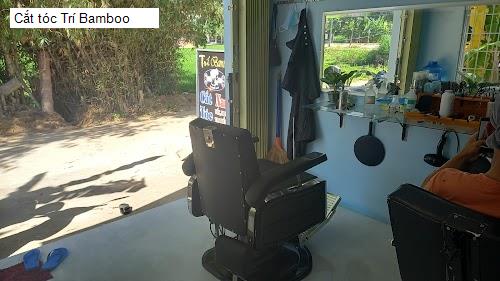 cat toc tri bamboo