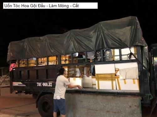 uon toc hoa goi dau - lam mong - cat