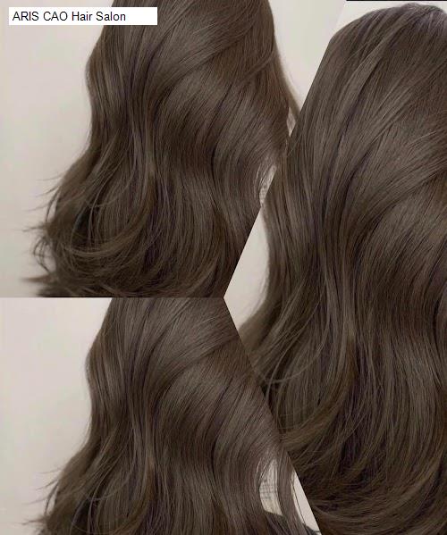 aris cao hair salon