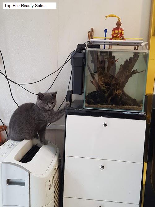 top hair beauty salon