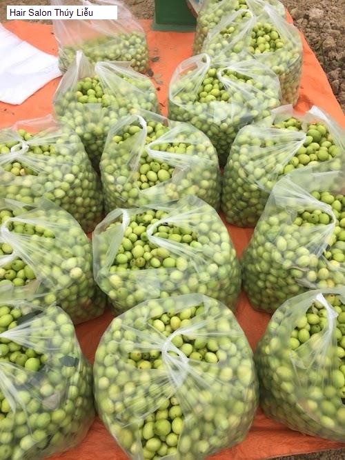 hair salon thuy lieu