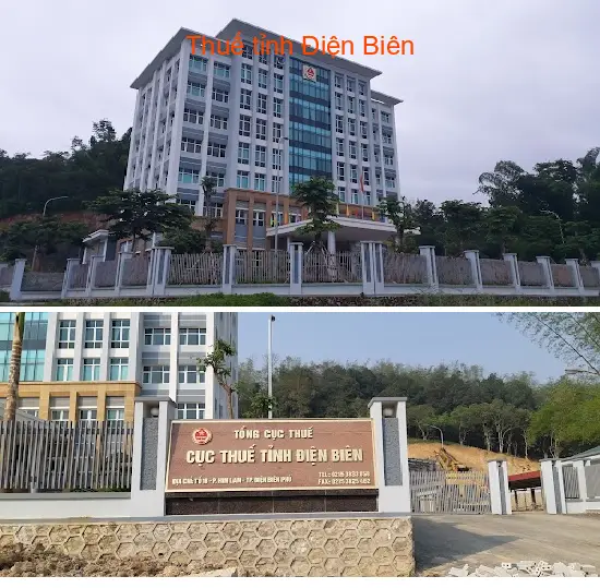 Top 10 Công ty tài chính kế toán tại Phường Mường Thanh, Điện Biên