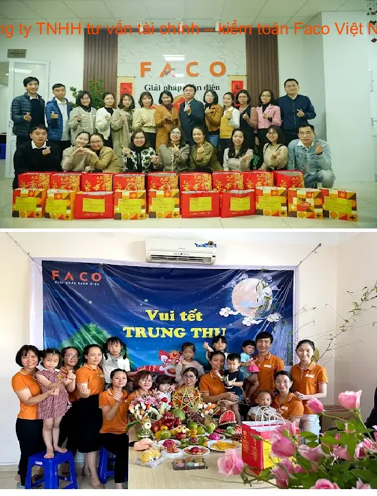 Faco Vietnam Financial and Auditing Consulting Company Limited