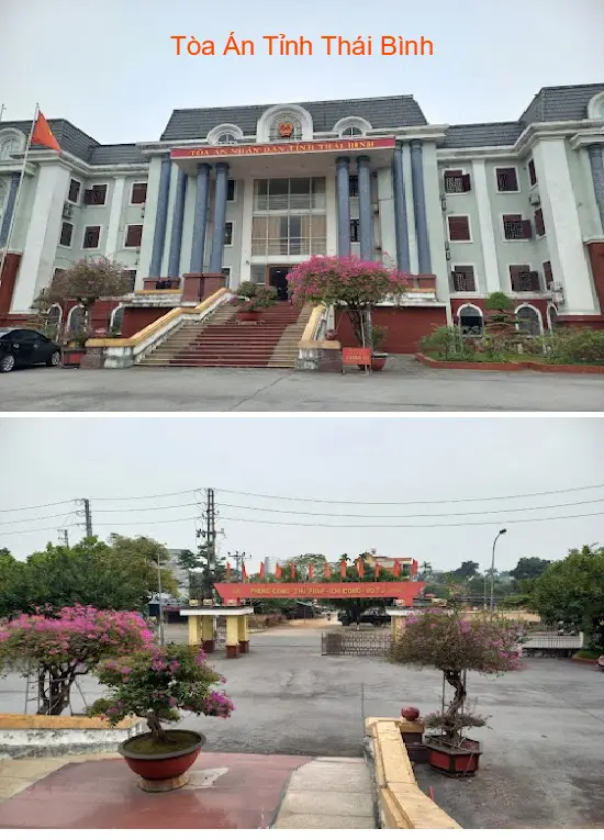 Lựa chọn 11 Dịch vụ kế toán, Báo cáo thuế tại Phường Trần Hưng Đạo, Hưng Yên