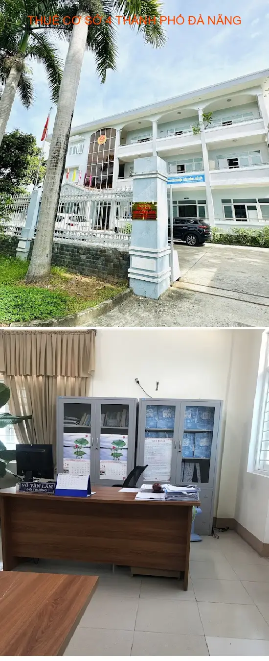 Top 6 Công ty tài chính kế toán tại Phường An Khê, Thành phố Đà Nẵng