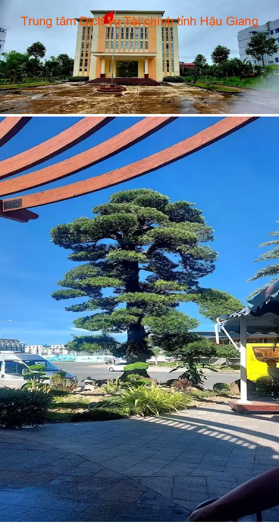 Hau Giang Provincial Financial Services Center