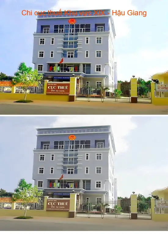 Tax Department of Region XIX - Hau Giang