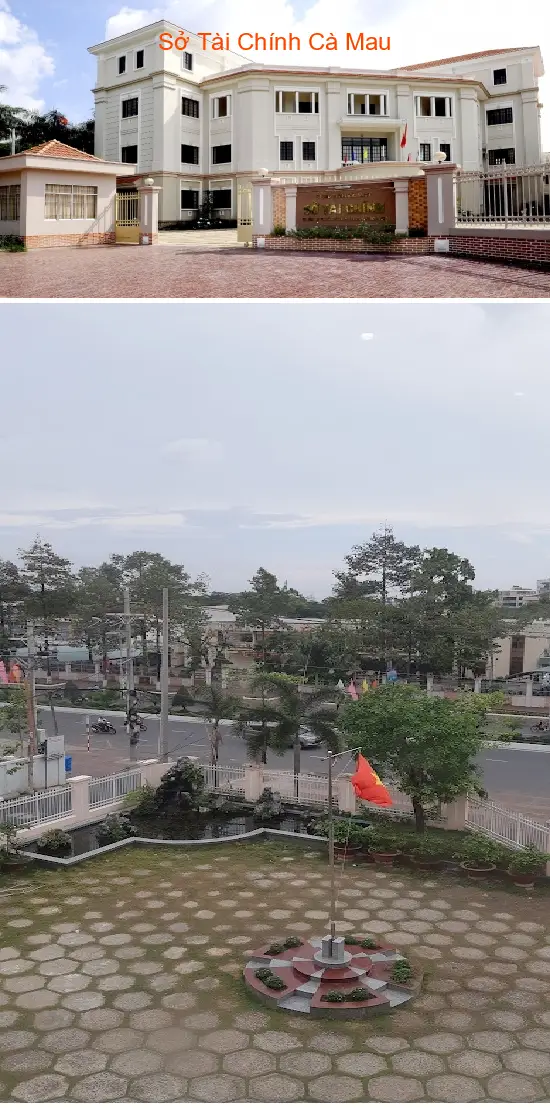 Ca Mau Department of Finance