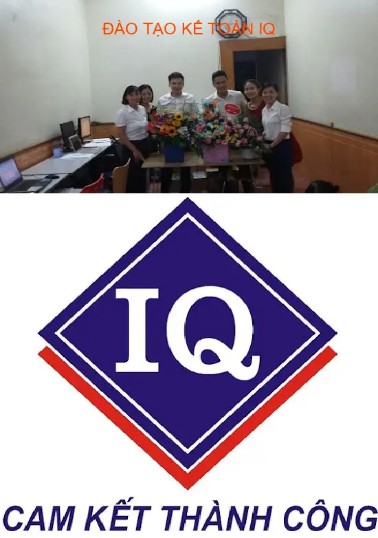 IQ Accounting Training