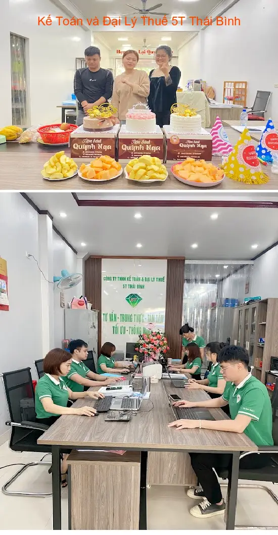 5T Accounting and Tax Agency Thai Binh