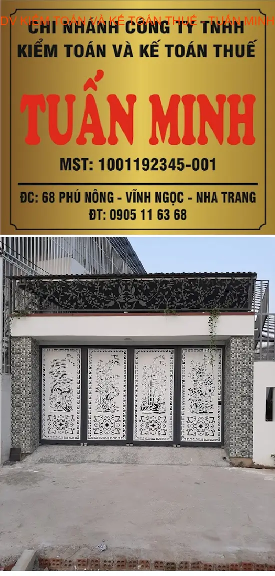 AUDIT AND TAX ACCOUNTING SERVICES - TUAN MINH
