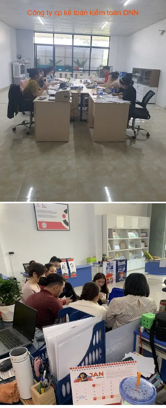 DNN Accounting and Auditing Joint Stock Company