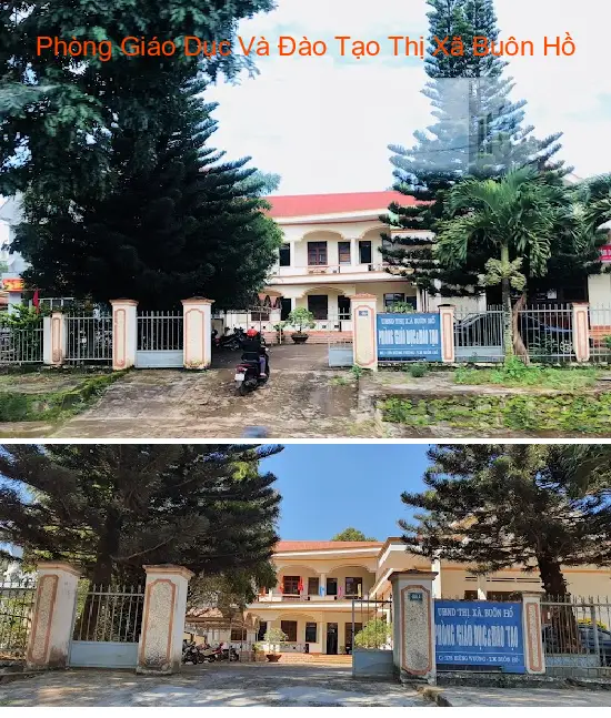 Department of Education and Training of Buon Ho Town