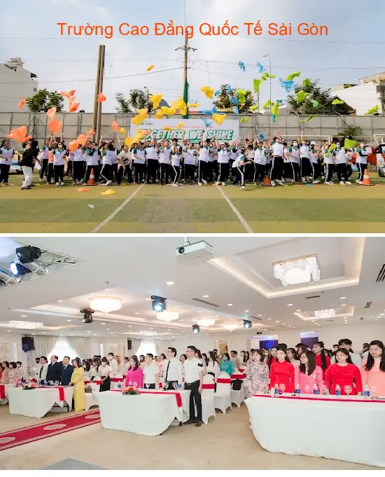 Top 5 Công ty tài chính kế toán tại Phường Tân Phú, Thành phố Hồ Chí Minh