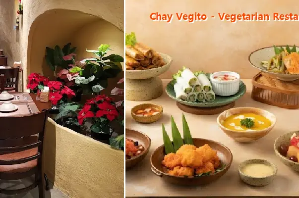 Vegito - Vegetarian Restaunrant