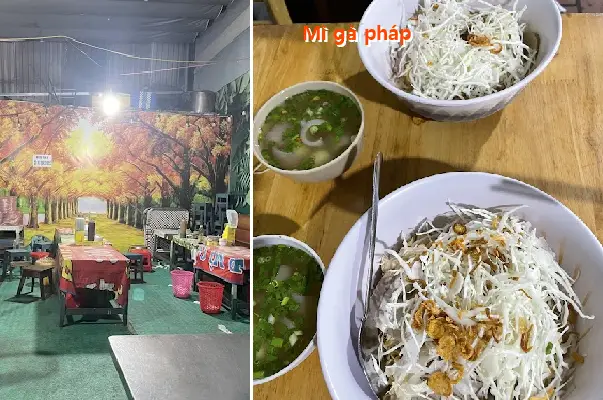 French chicken noodles